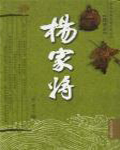 杨家将